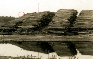 Log piles along the Saco River